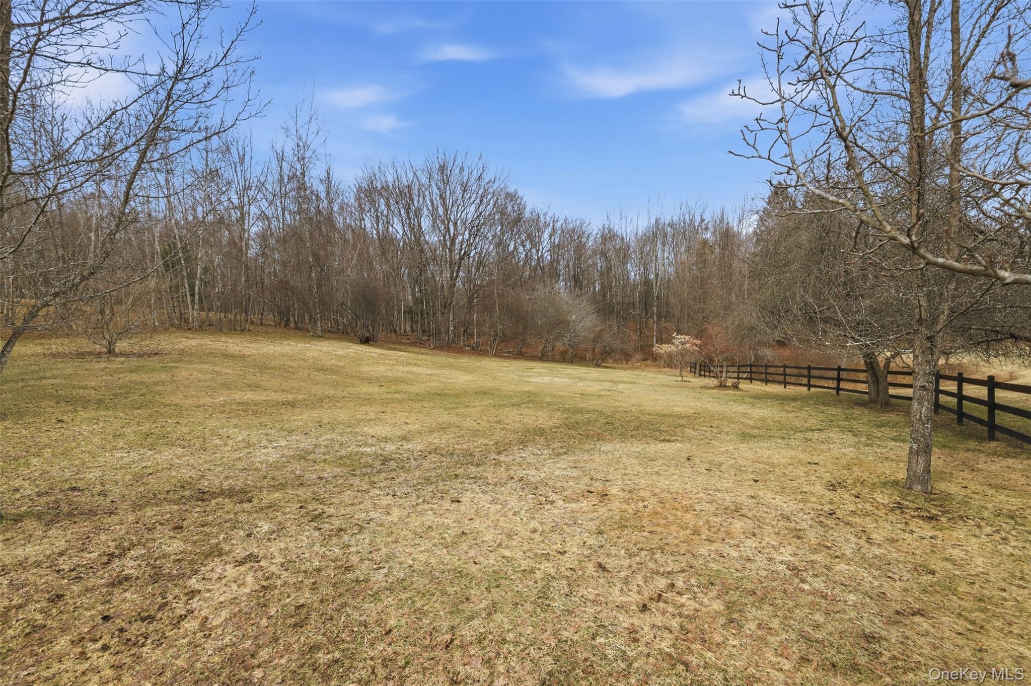 #20 photo, California Avenue, Liberty , NY 12754