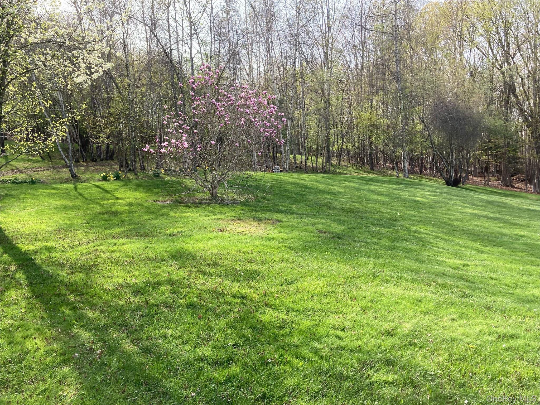 #5 photo, California Avenue, Liberty , NY 12754