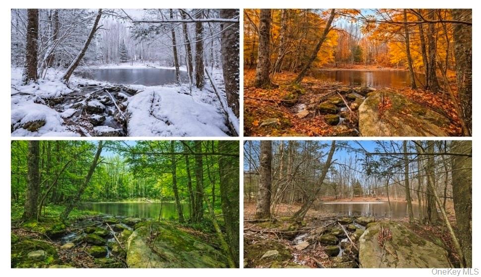 #6 photo, California Avenue, Liberty , NY 12754