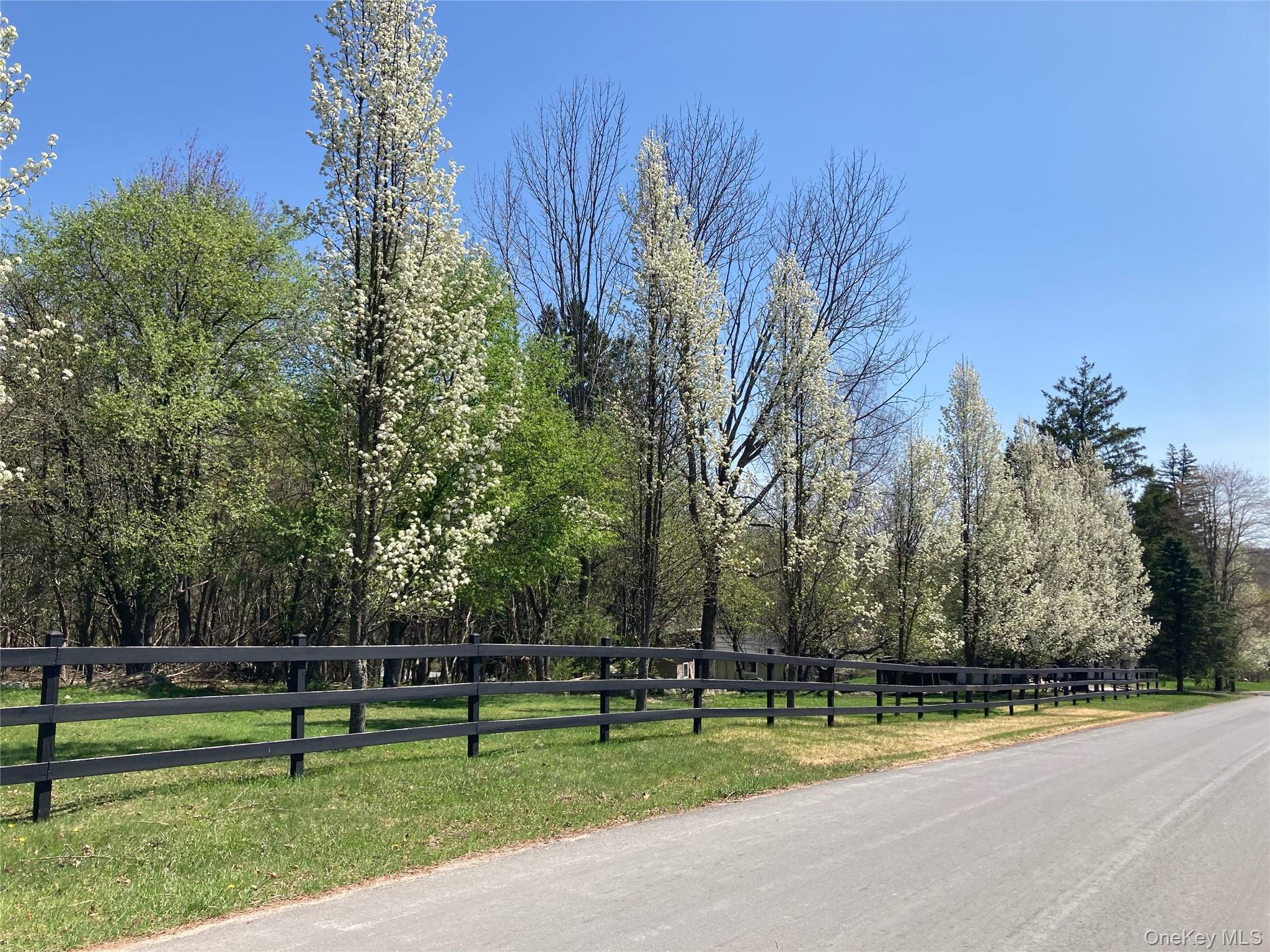 #7 photo, California Avenue, Liberty , NY 12754