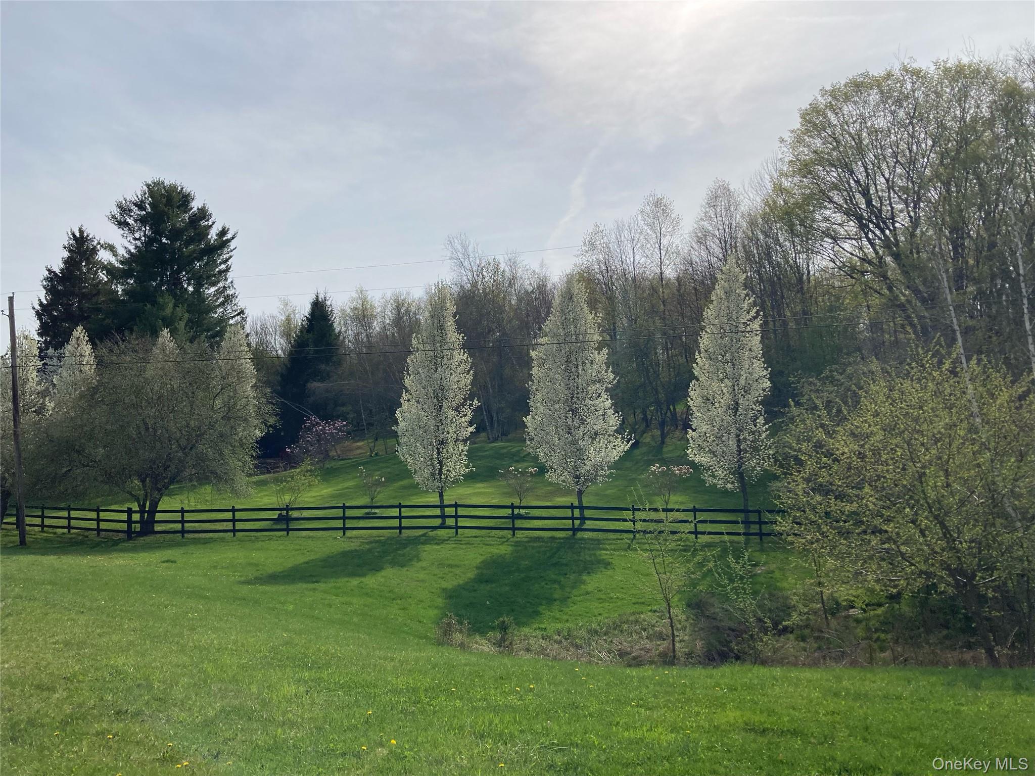 #8 photo, California Avenue, Liberty , NY 12754