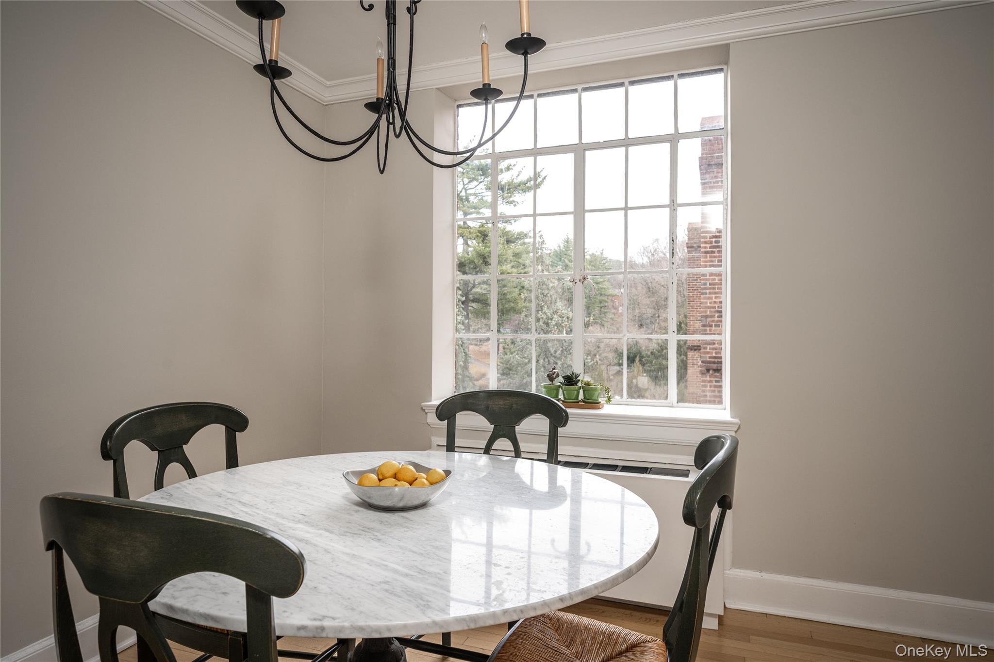 #12 photo, 100 Ardsley Avenue, Irvington , NY 10533