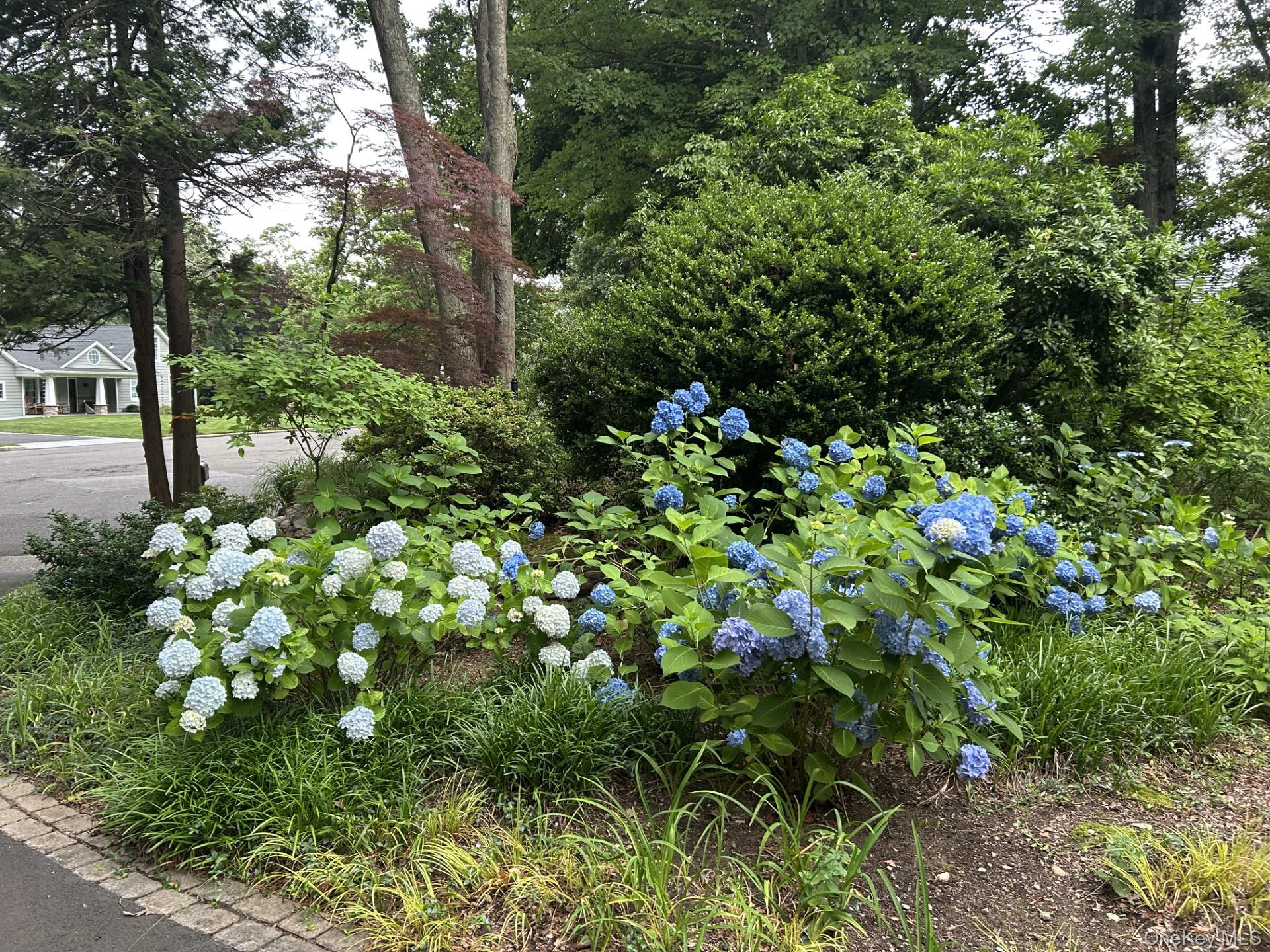 #5 photo, 3 Townsend Court, সাফোক কাউন্টি Setauket , NY 11733