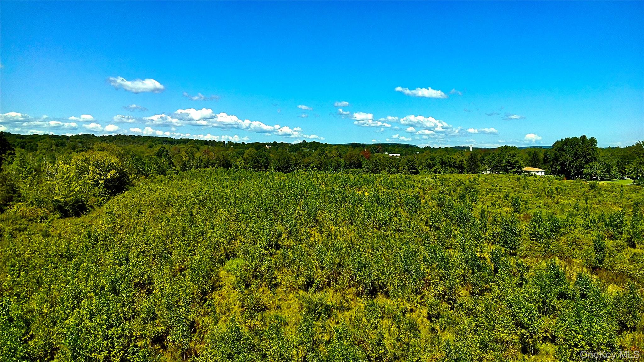 #1 photo, 00 N Vernon, Athens , NY 12015