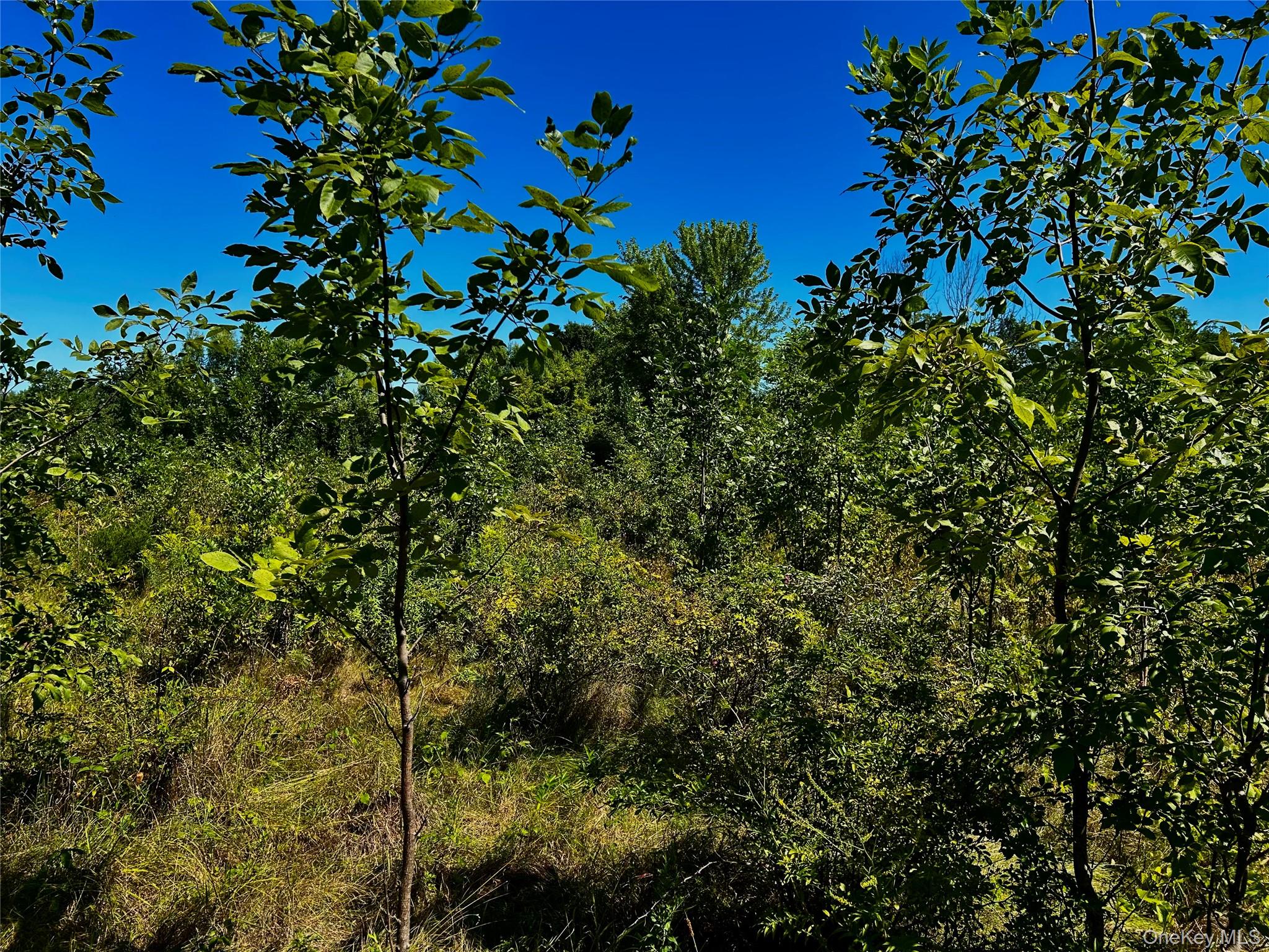 #10 photo, 00 N Vernon, Athens , NY 12015