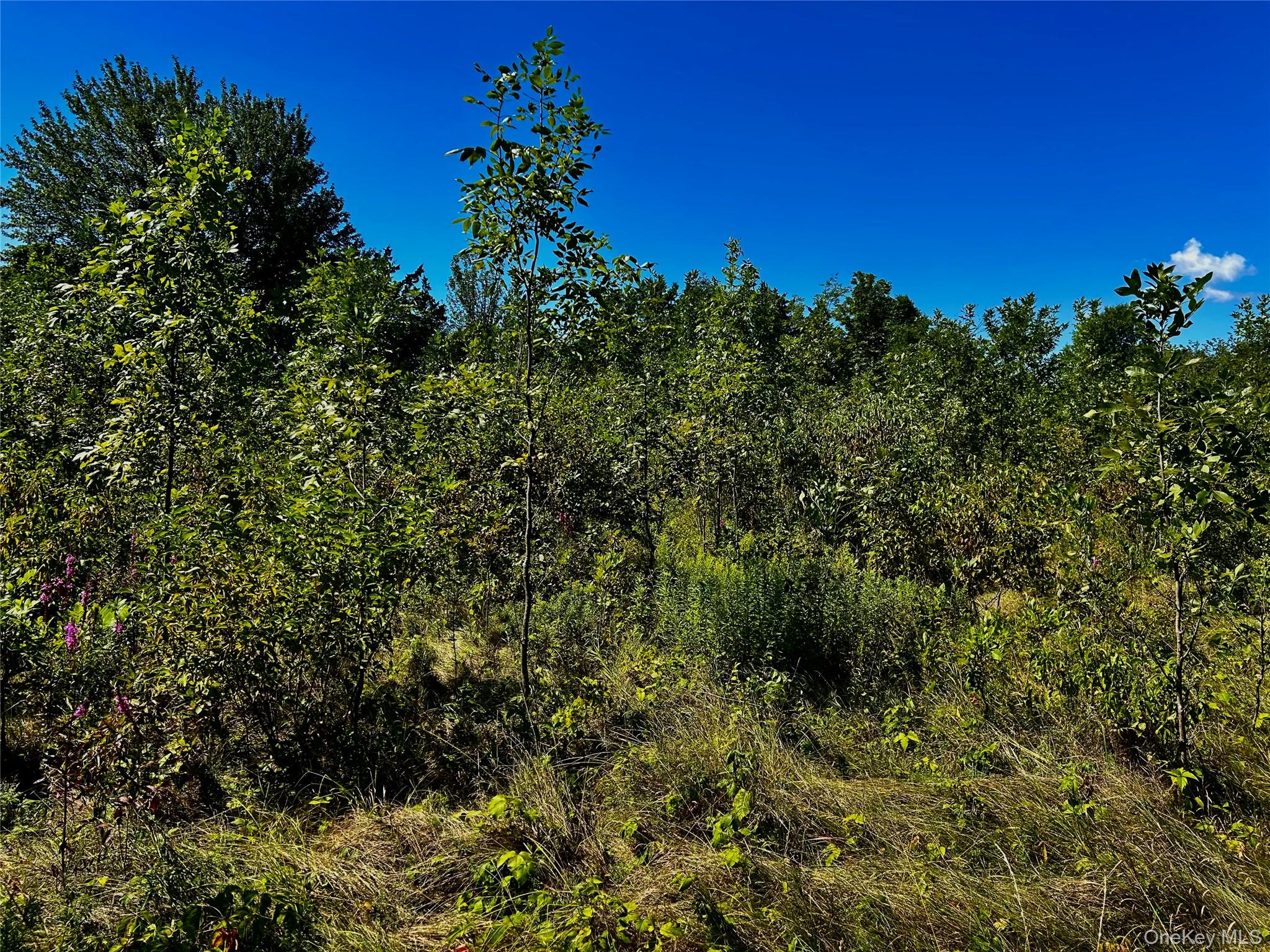 #7 photo, 00 N Vernon, Athens , NY 12015