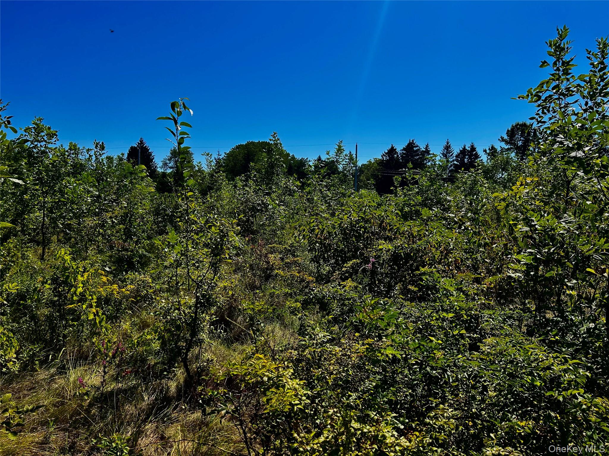 #8 photo, 00 N Vernon, Athens , NY 12015