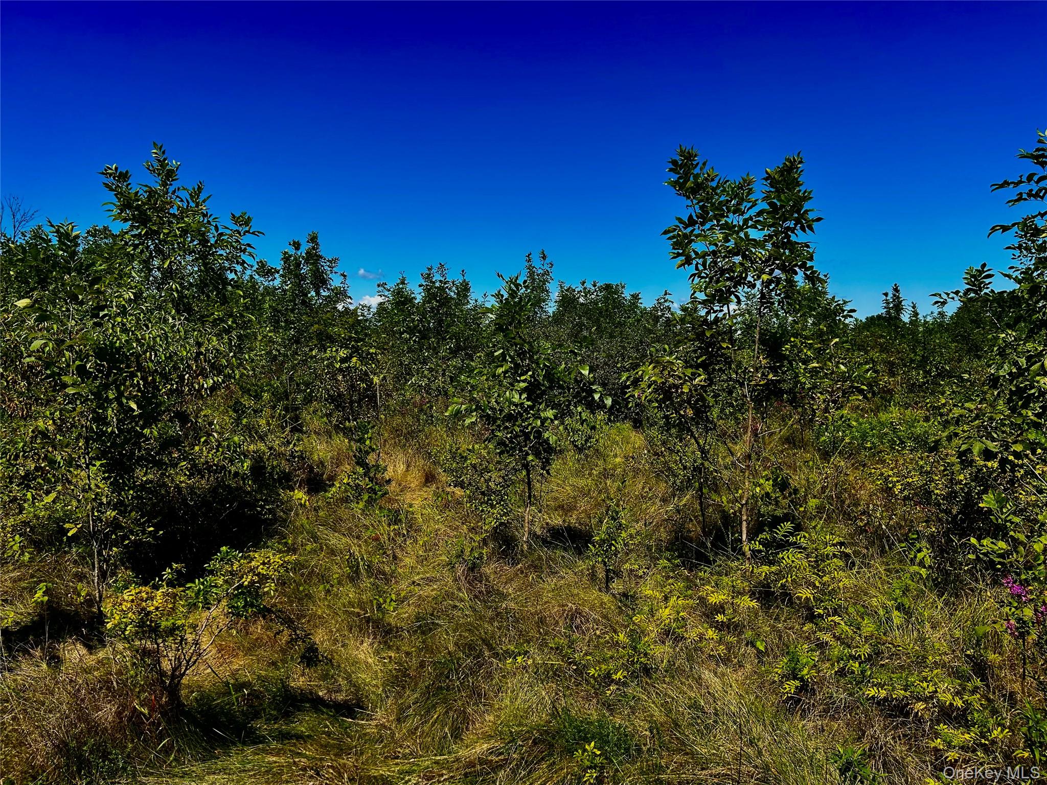 #9 photo, 00 N Vernon, Athens , NY 12015