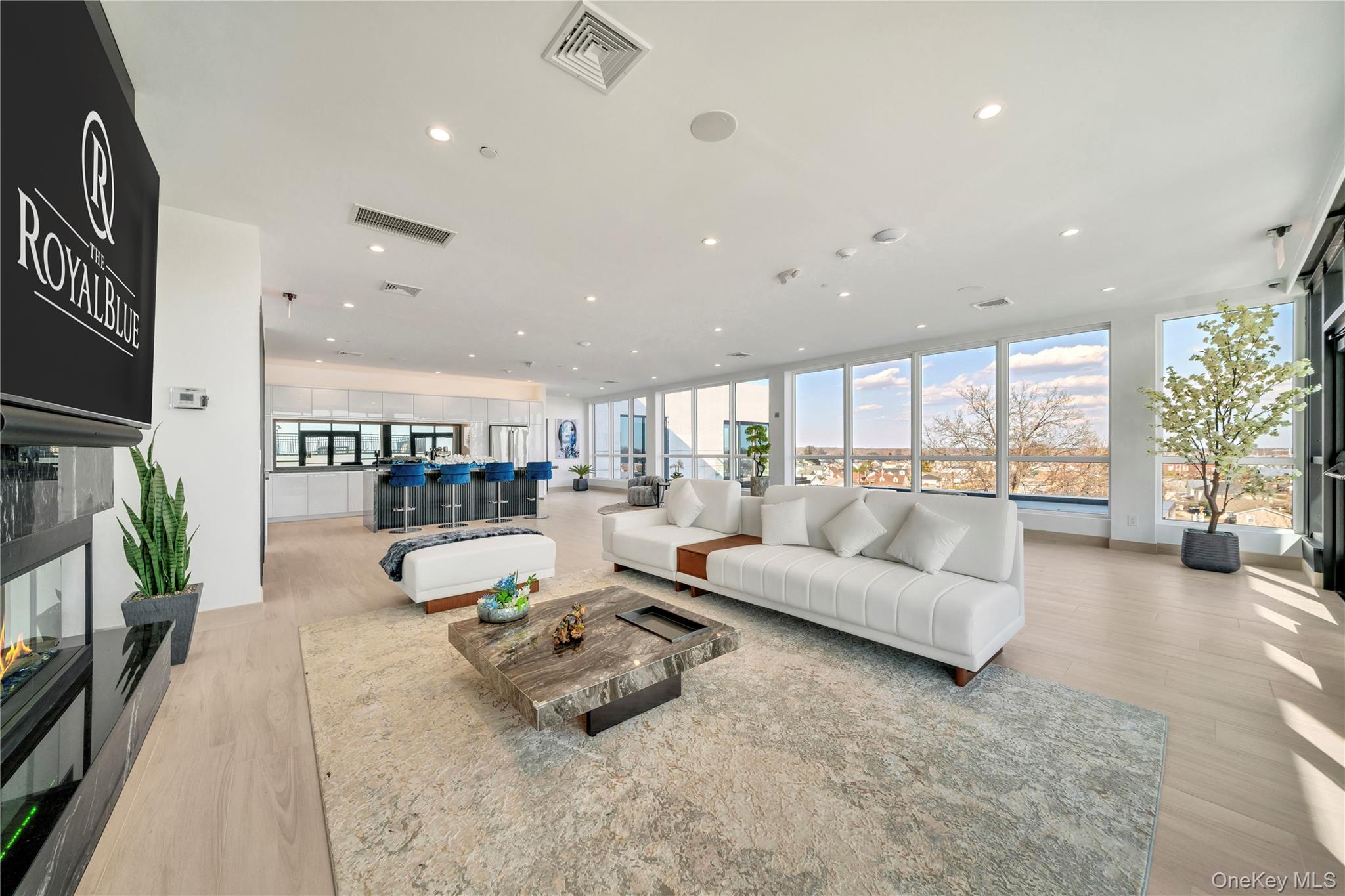 #15 photo, 101 Searing Avenue, নাসাউ কাউন্টি Mineola , NY 11501