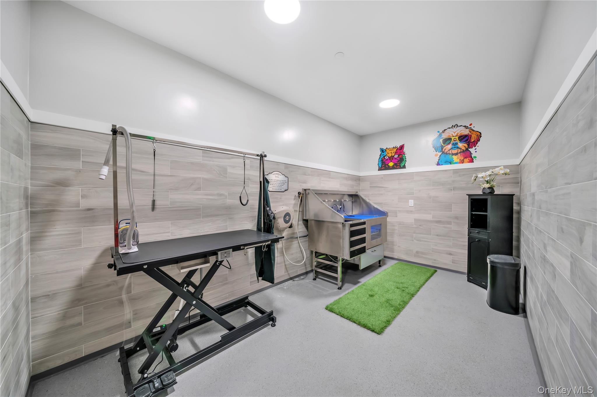 #18 photo, 101 Searing Avenue, নাসাউ কাউন্টি Mineola , NY 11501