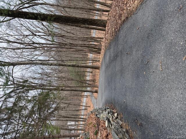 #10 photo, 120 Swallow Court, Call Listing Agent , PA 18324