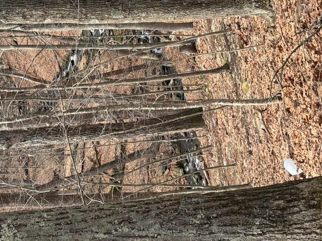 #2 photo, 120 Swallow Court, Call Listing Agent , PA 18324