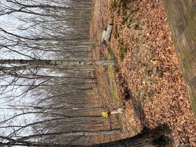 #4 photo, 120 Swallow Court, Call Listing Agent , PA 18324