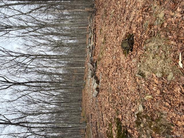 #5 photo, 120 Swallow Court, Call Listing Agent , PA 18324