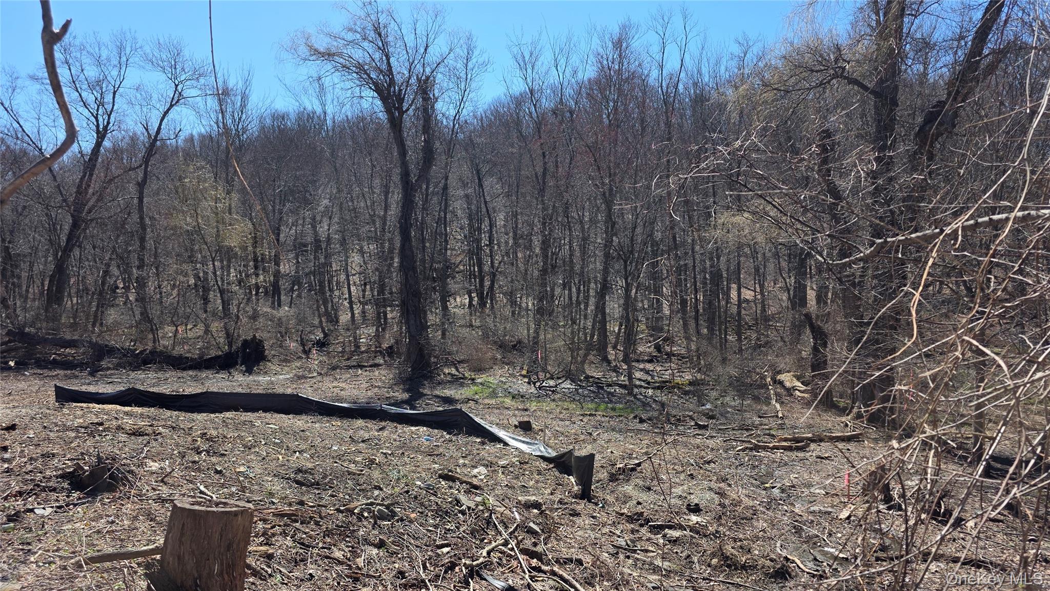 #1 photo, 91 Barrett Hill Road, Carmel , NY 10512