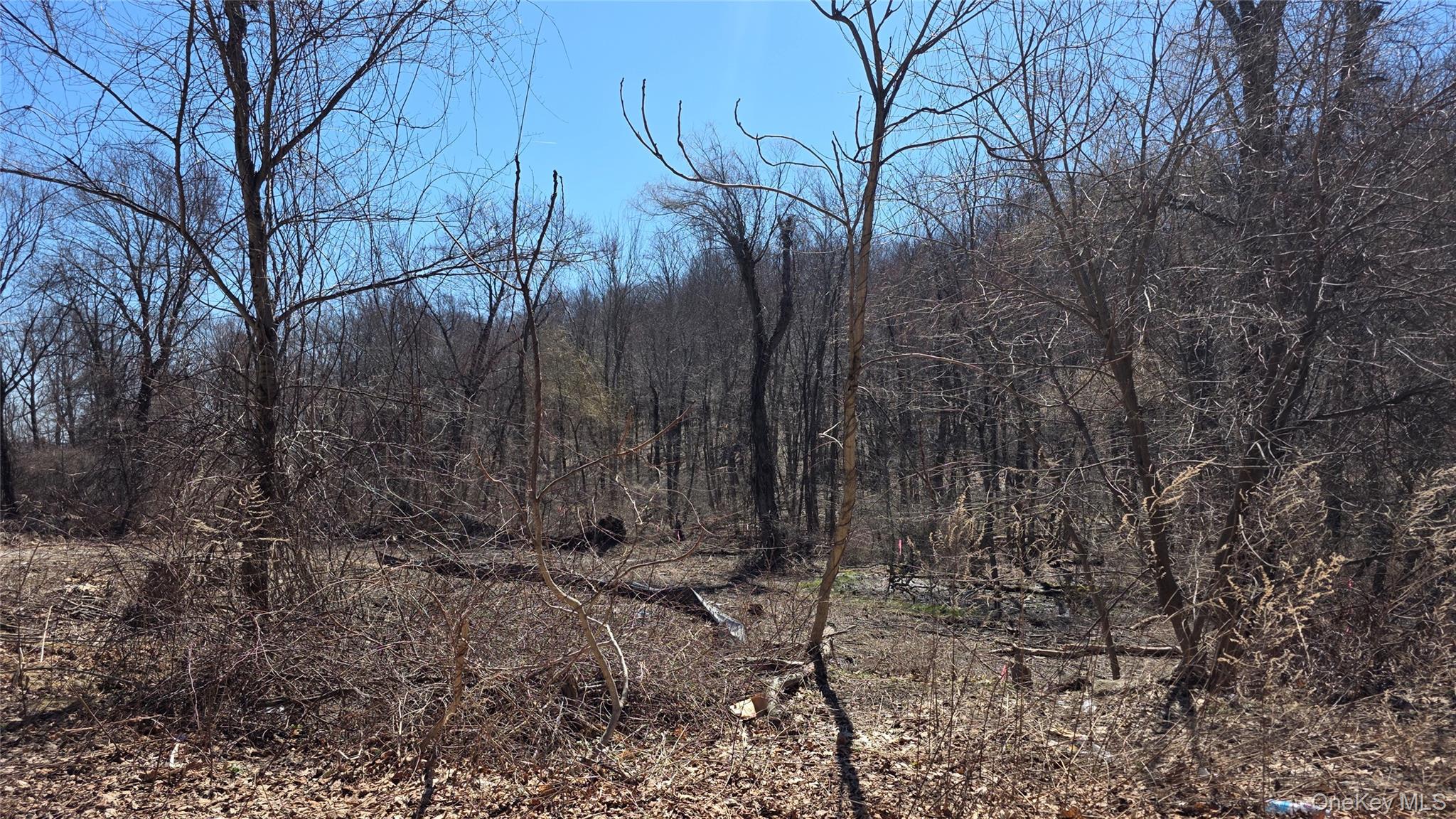 #2 photo, 91 Barrett Hill Road, Carmel , NY 10512