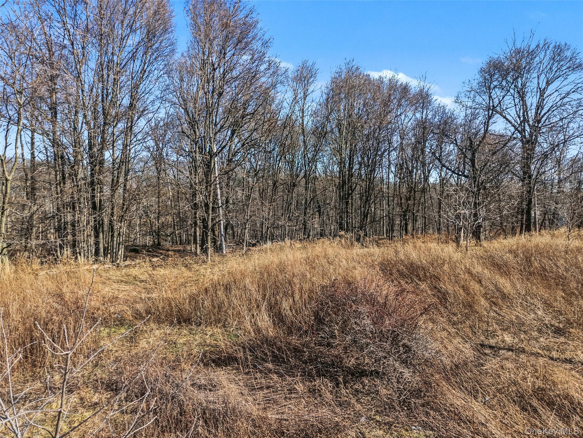 #15 photo, 3550 Us Highway 9W, Highland , NY 12528