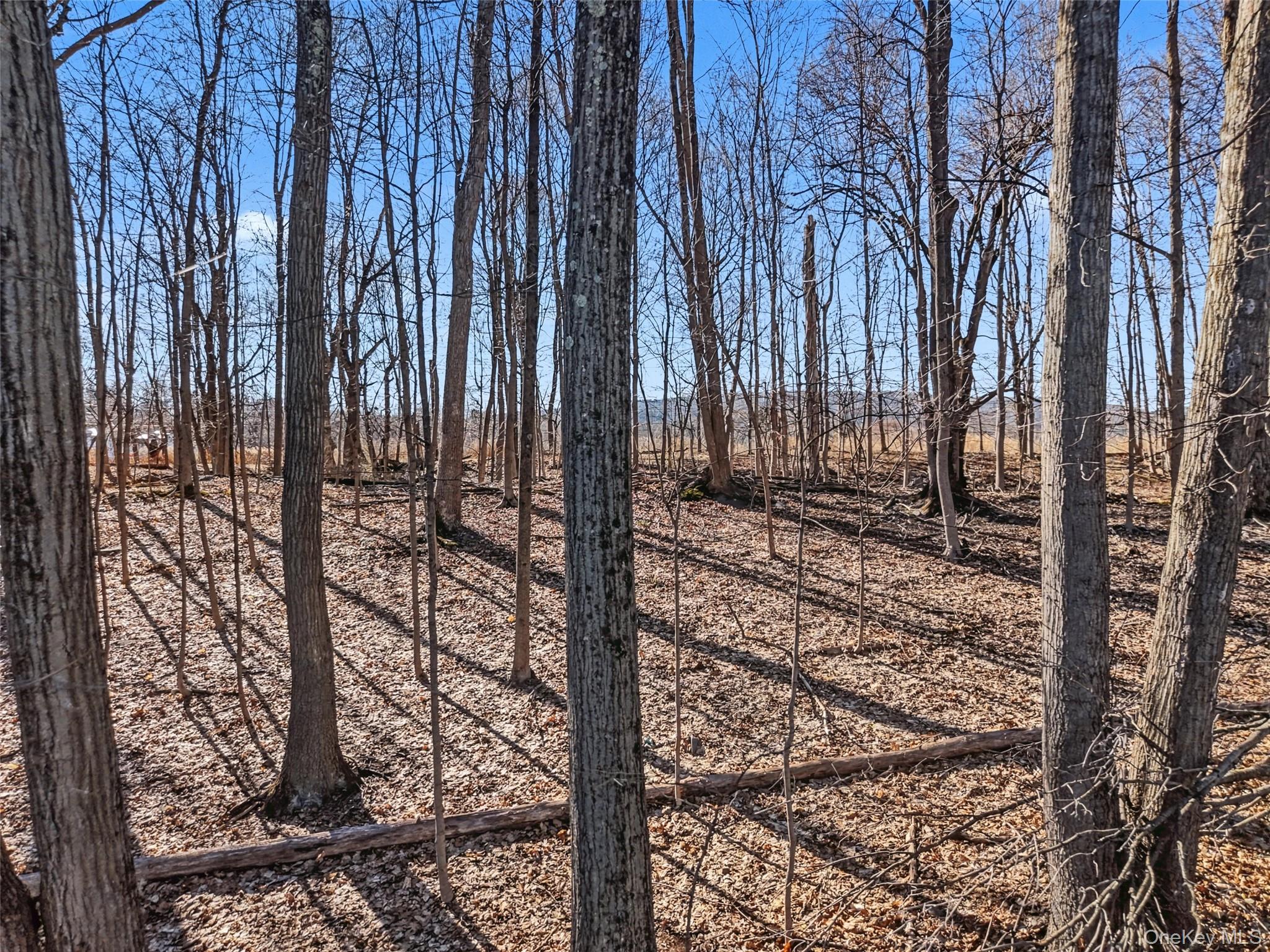 #18 photo, 3550 Us Highway 9W, Highland , NY 12528