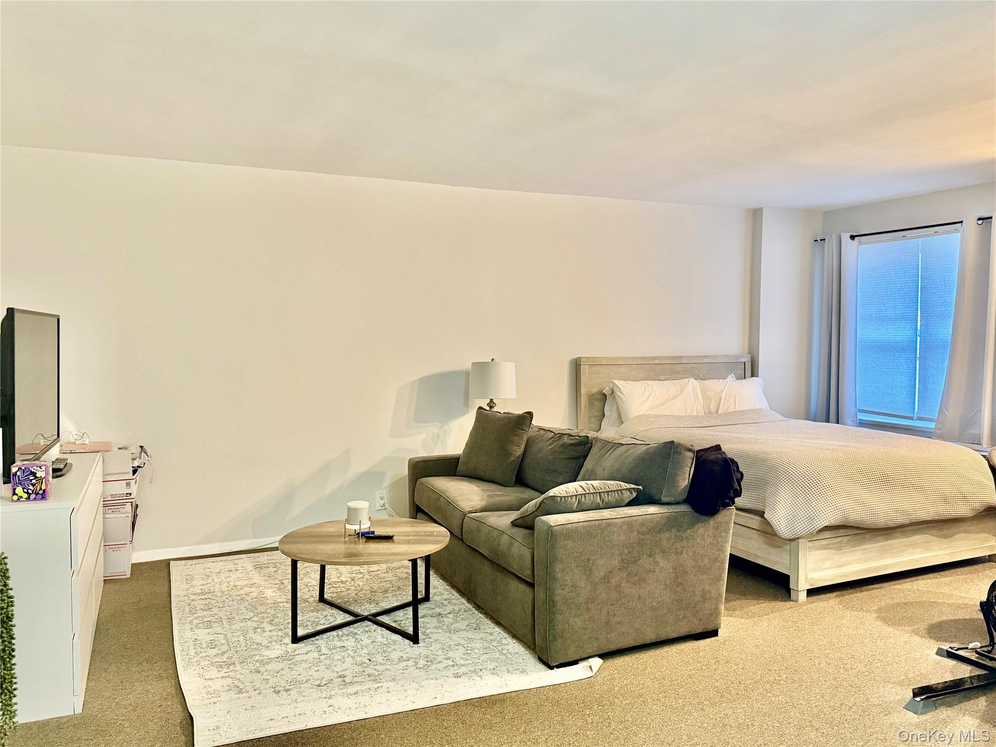 #7 photo, 100 Lincoln Avenue, নাসাউ কাউন্টি Mineola , NY 11501