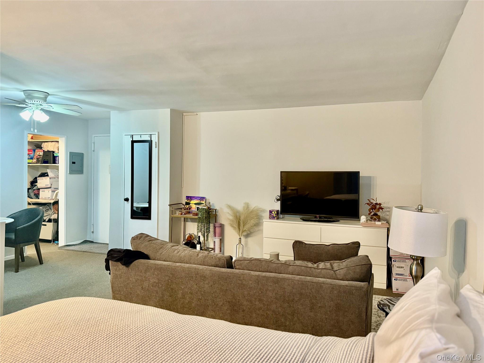 #9 photo, 100 Lincoln Avenue, নাসাউ কাউন্টি Mineola , NY 11501