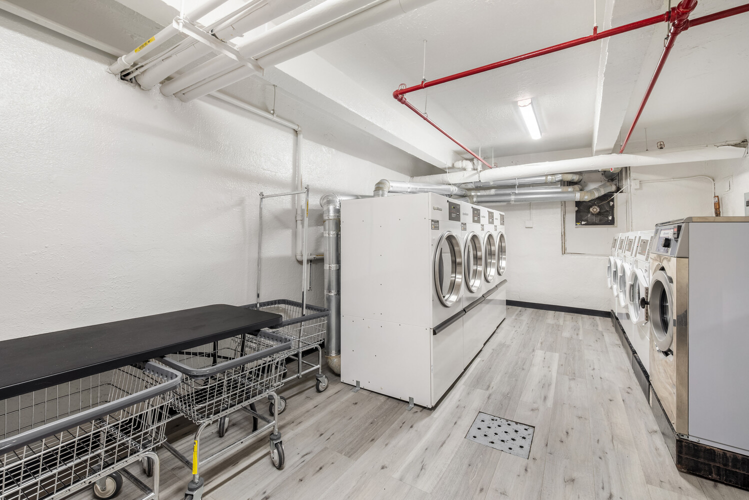 #13 photo, 1717 E 18TH Street, ব্রুকলিন Homecrest , NY 11229