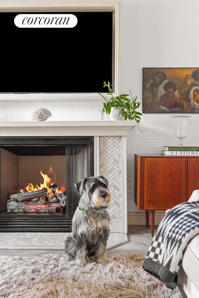 #14 photo, Brooklyn, ব্রুকলিন Stuyvesant Heights , NY 11221