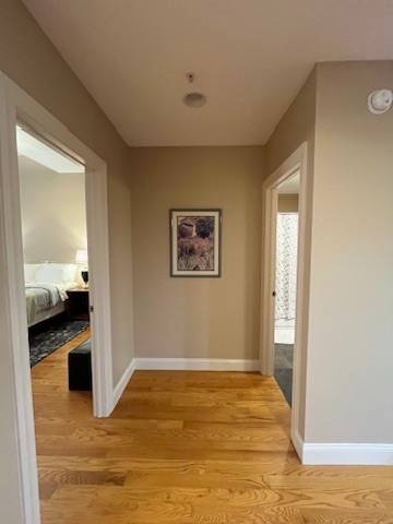 #12 photo, 260 Washington, #207, ম্যানহাটন Albany , NY 10013