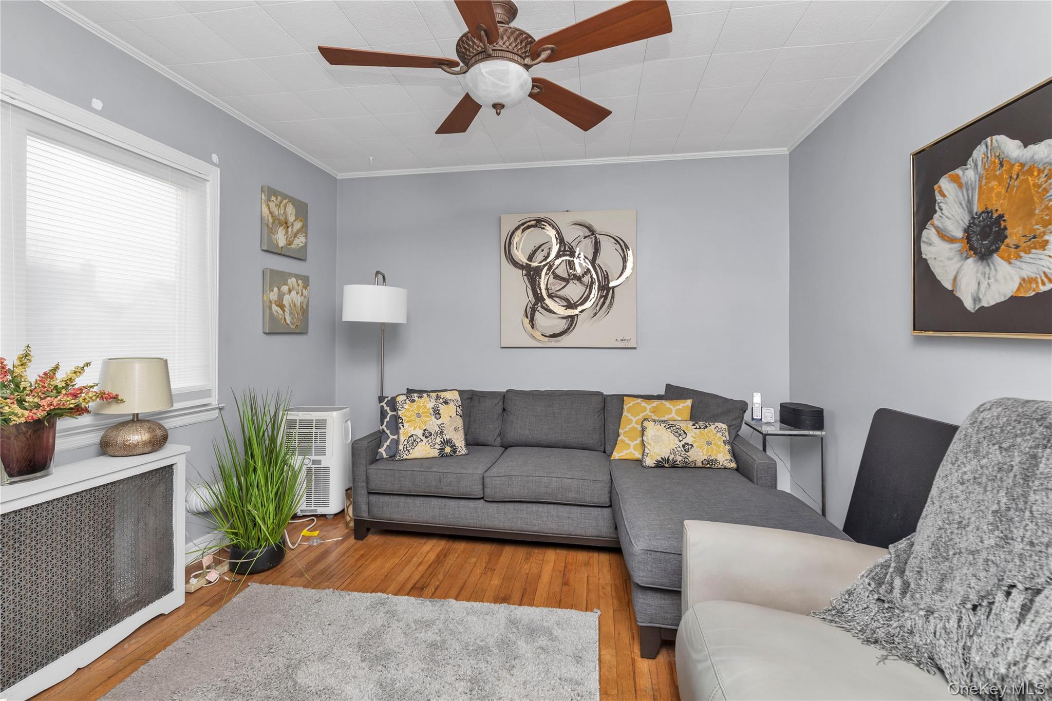 #9 photo, 44 Marlowe Road, নাসাউ কাউন্টি Valley Stream , NY 11580