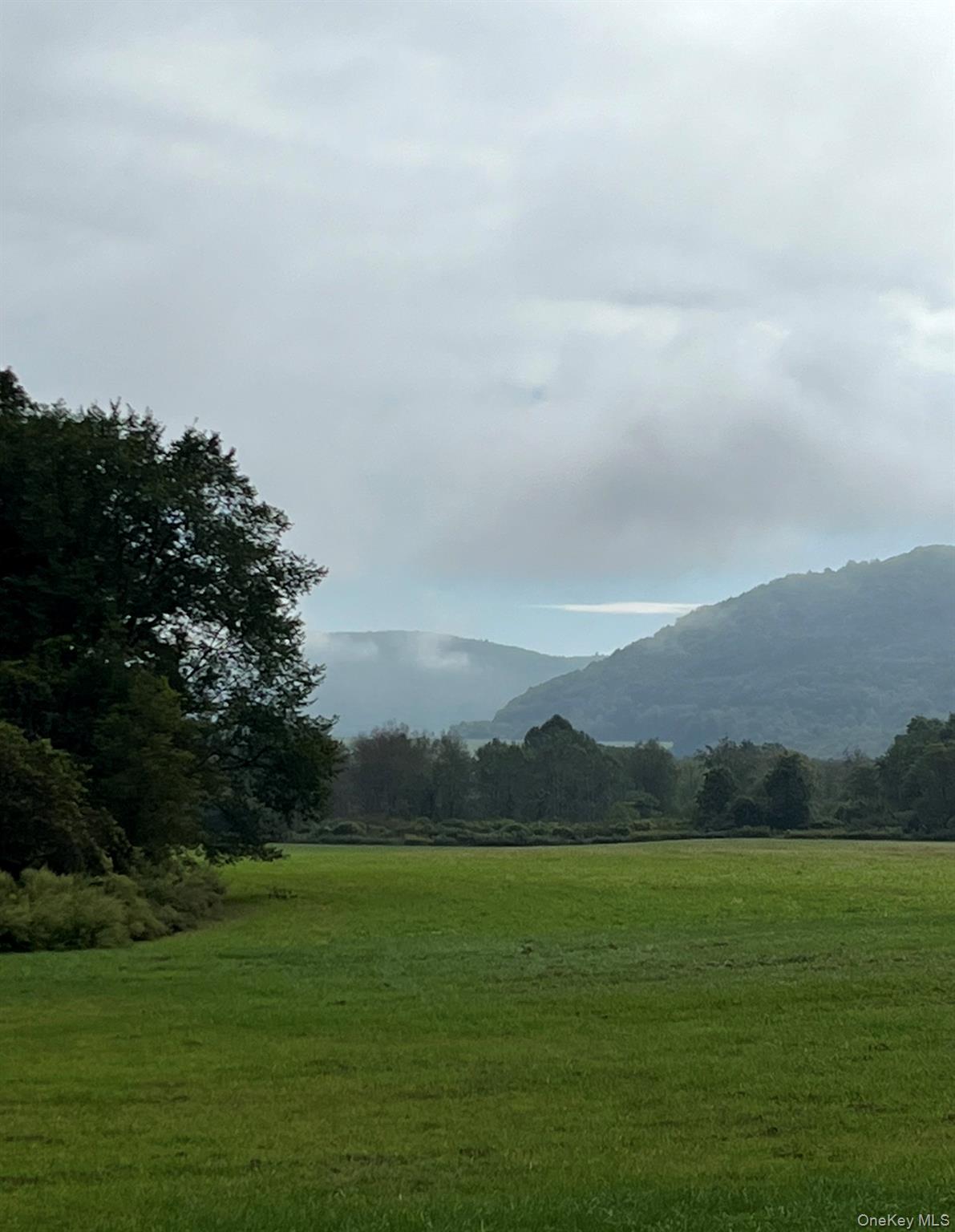 #10 photo, 50 Depot Street, Downsville , NY 13755