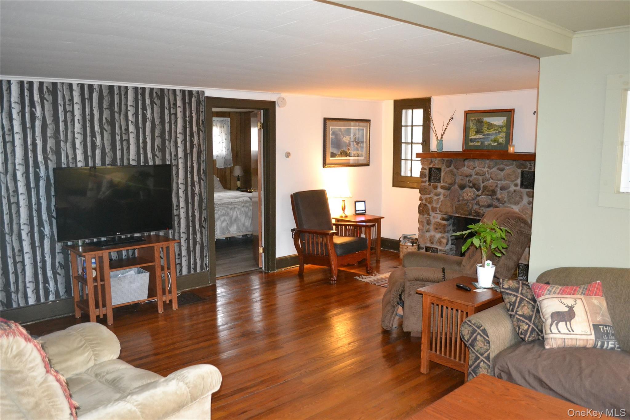 #12 photo, 50 Depot Street, Downsville , NY 13755