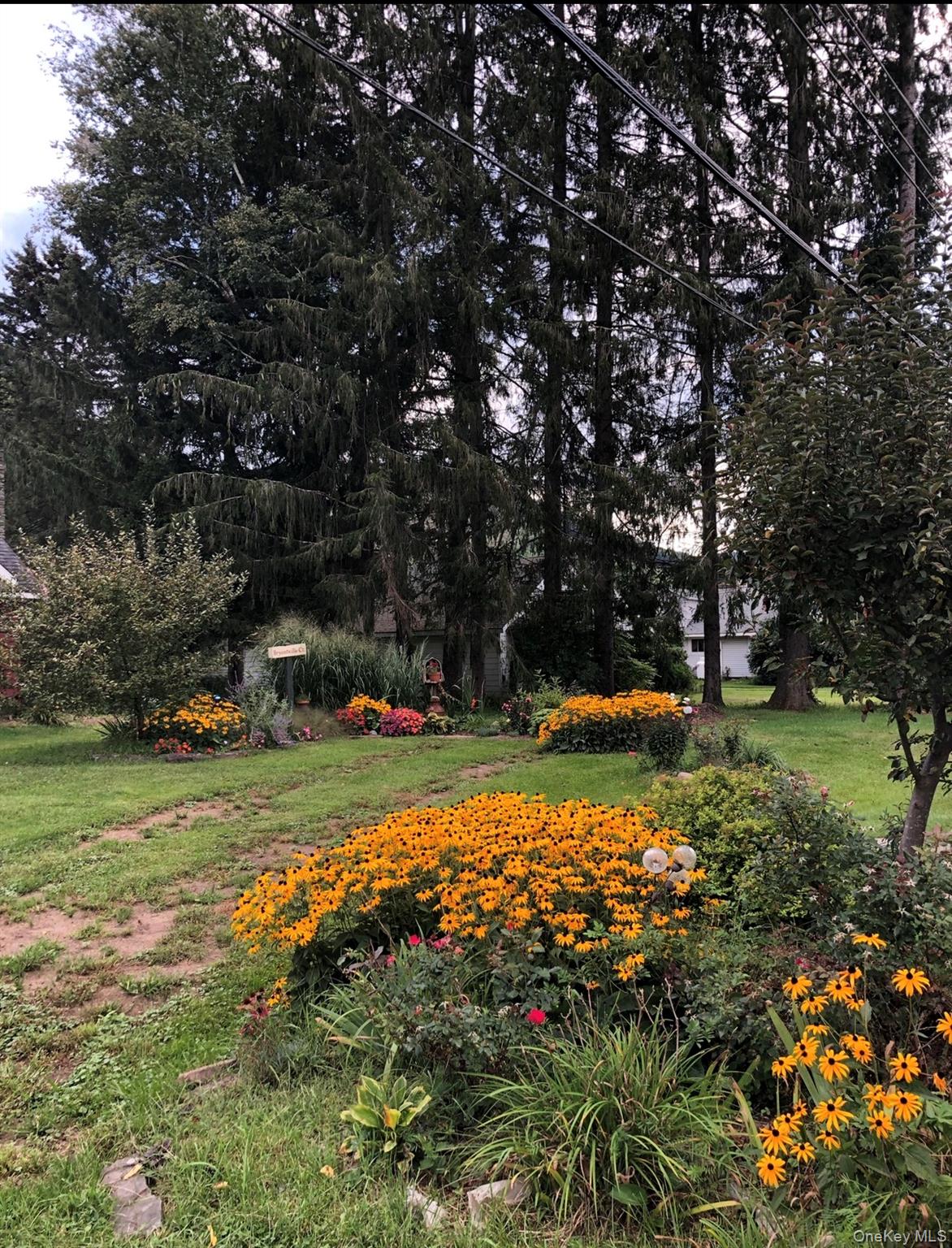 #6 photo, 50 Depot Street, Downsville , NY 13755