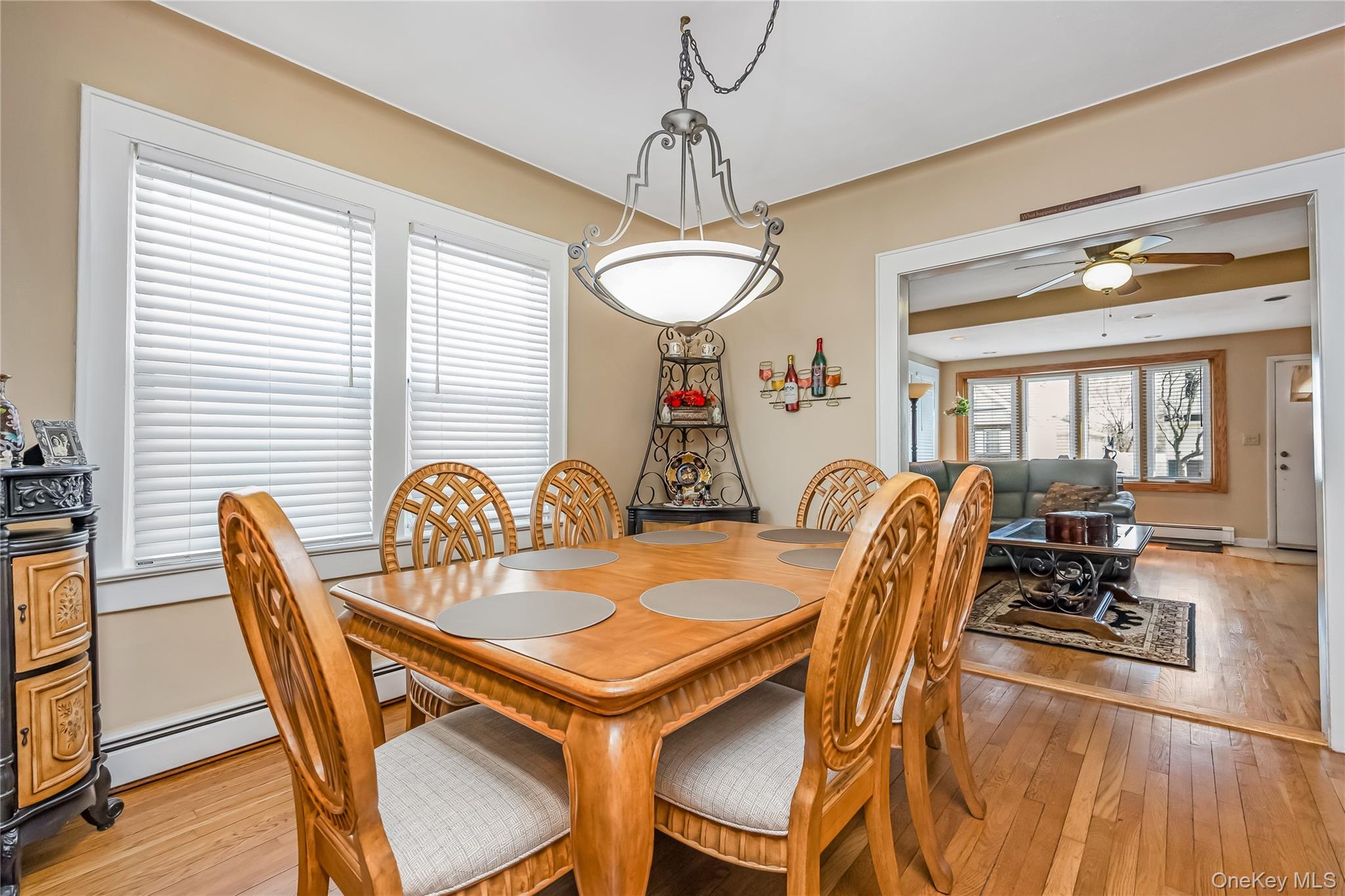 #11 photo, 921 N 5th Street, নাসাউ কাউন্টি New Hyde Park , NY 11040