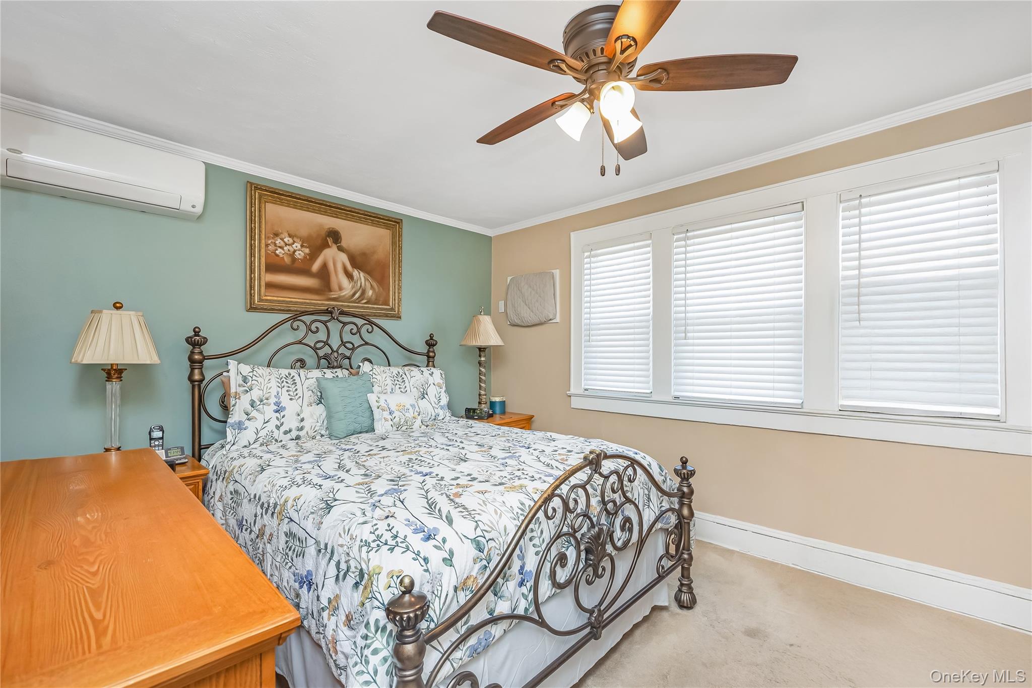 #17 photo, 921 N 5th Street, নাসাউ কাউন্টি New Hyde Park , NY 11040