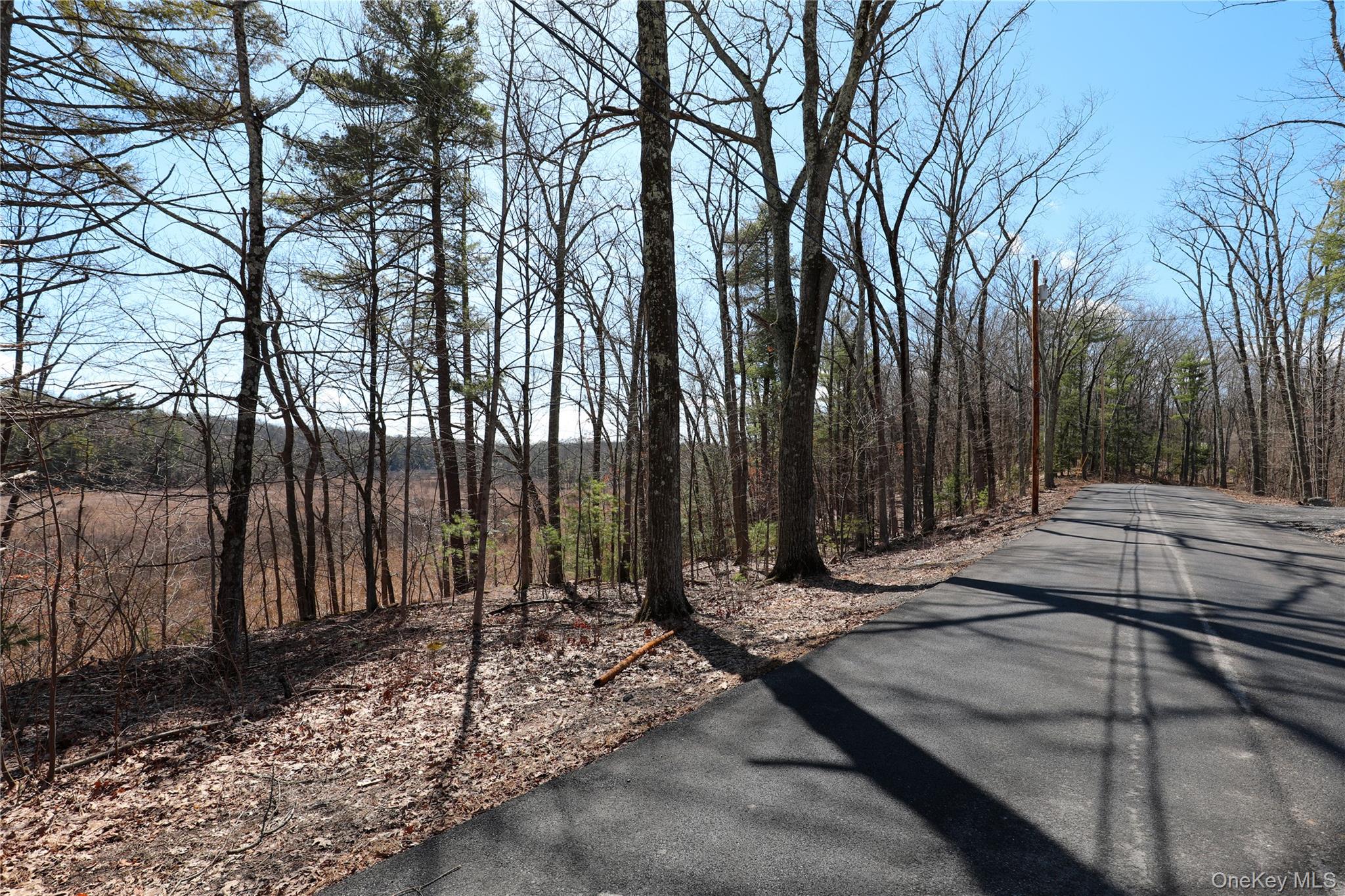 #1 photo, 176 Lake Road, Lake Katrine , NY 12449