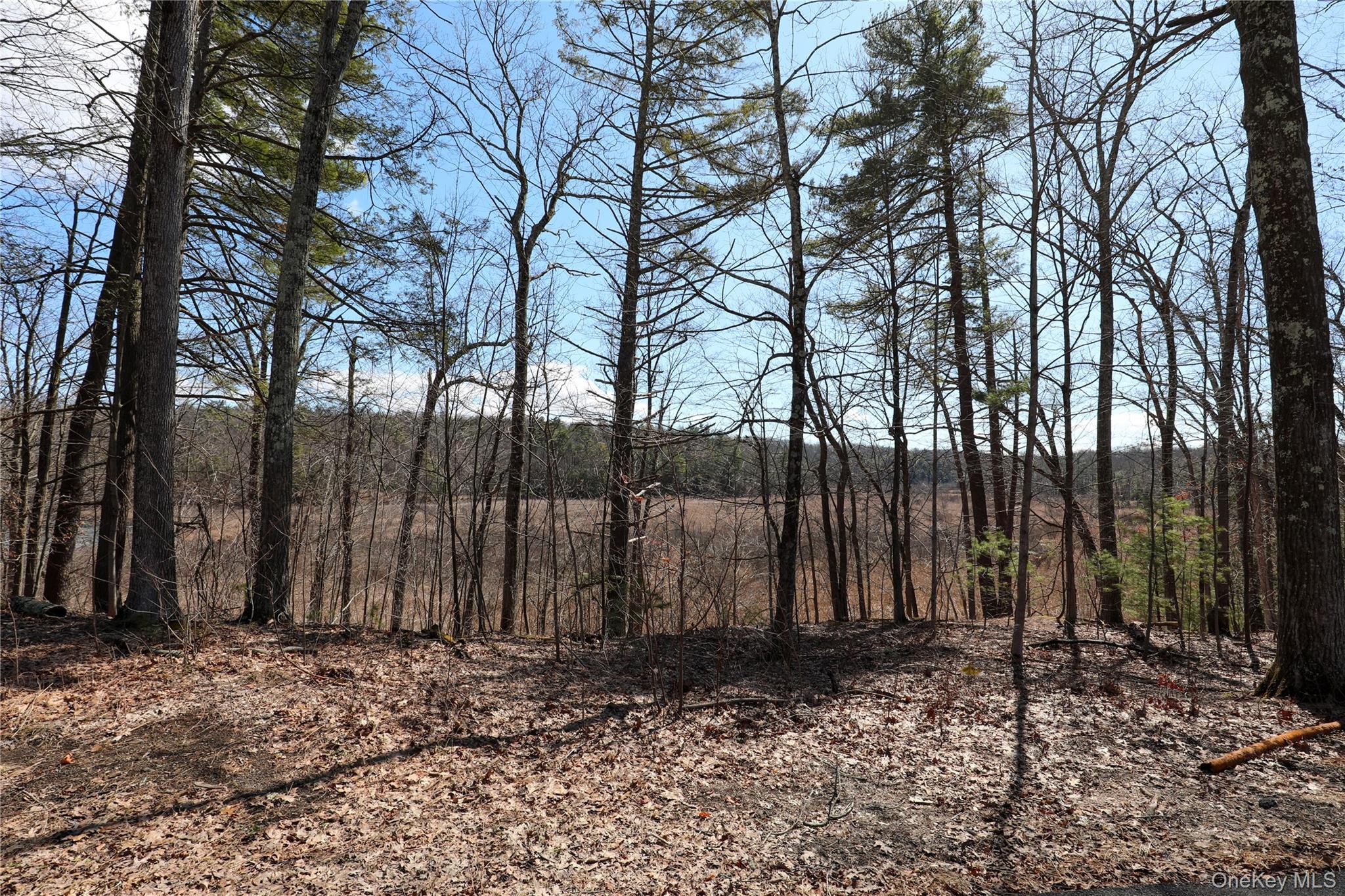 #2 photo, 176 Lake Road, Lake Katrine , NY 12449