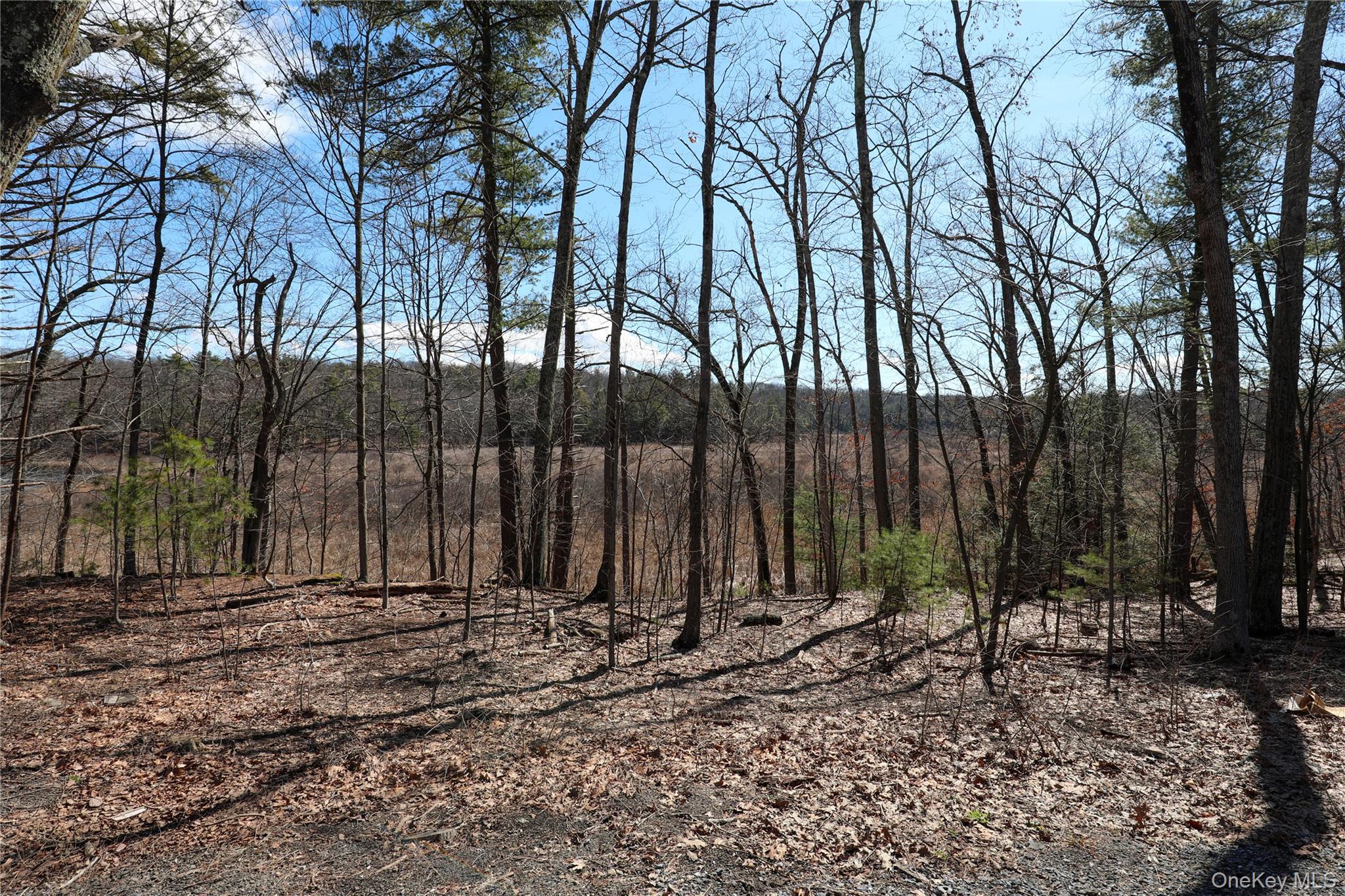 #4 photo, 176 Lake Road, Lake Katrine , NY 12449