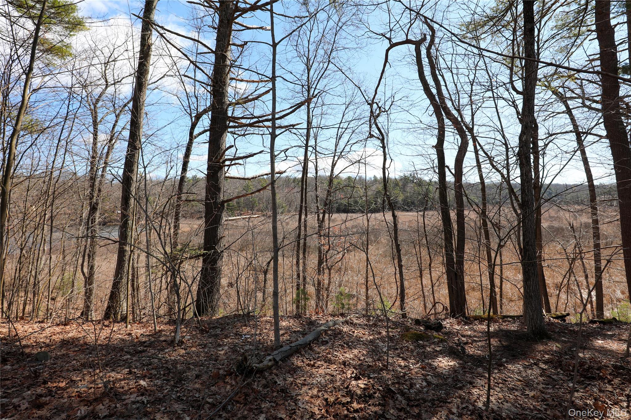 #5 photo, 176 Lake Road, Lake Katrine , NY 12449