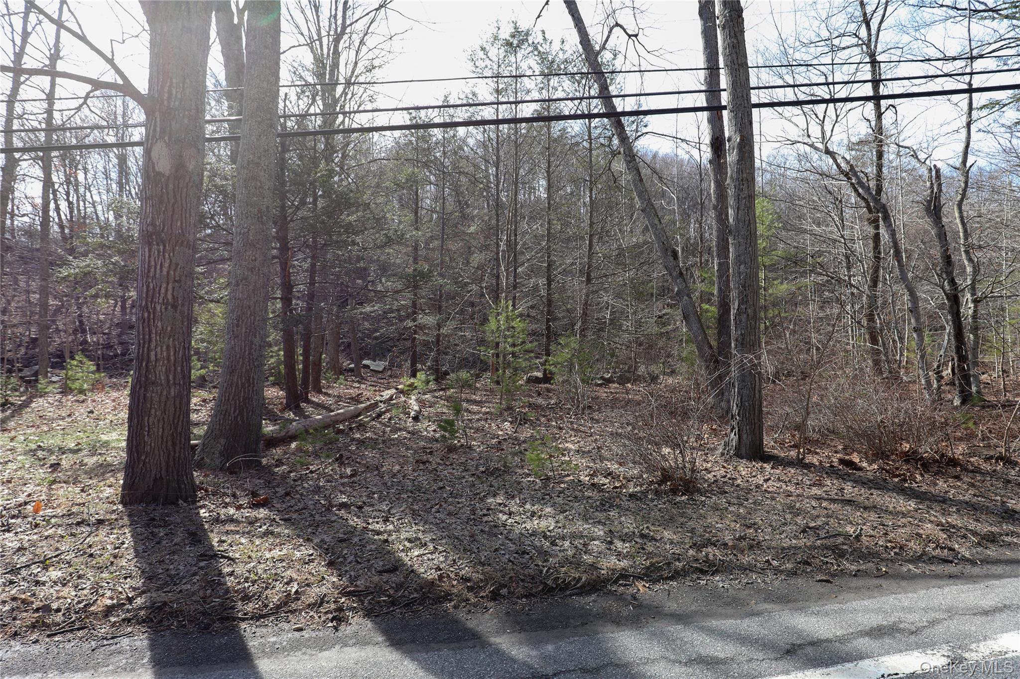 #10 photo, TBD Rt-212, Woodstock , NY 12498