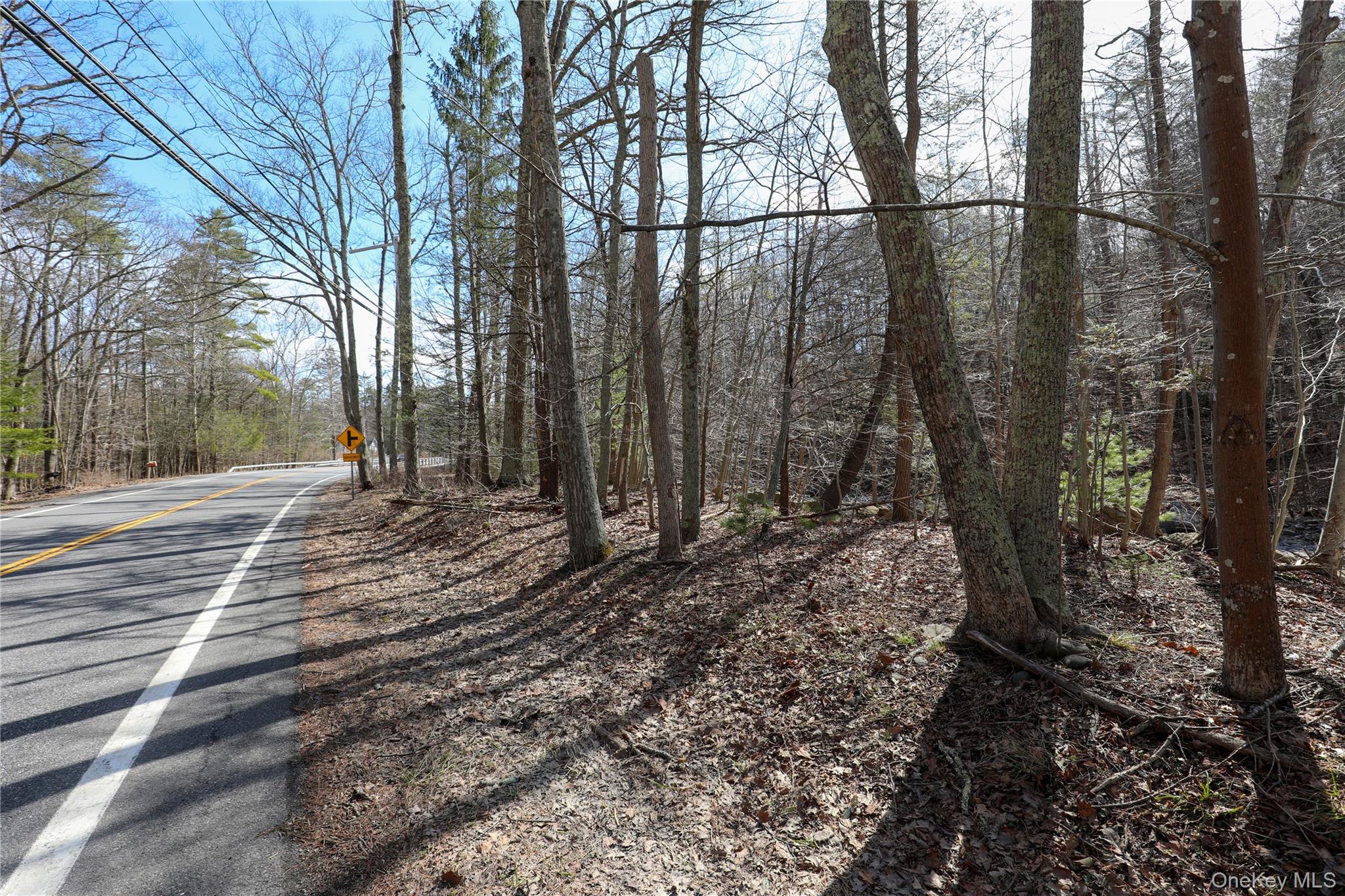 #4 photo, TBD Rt-212, Woodstock , NY 12498