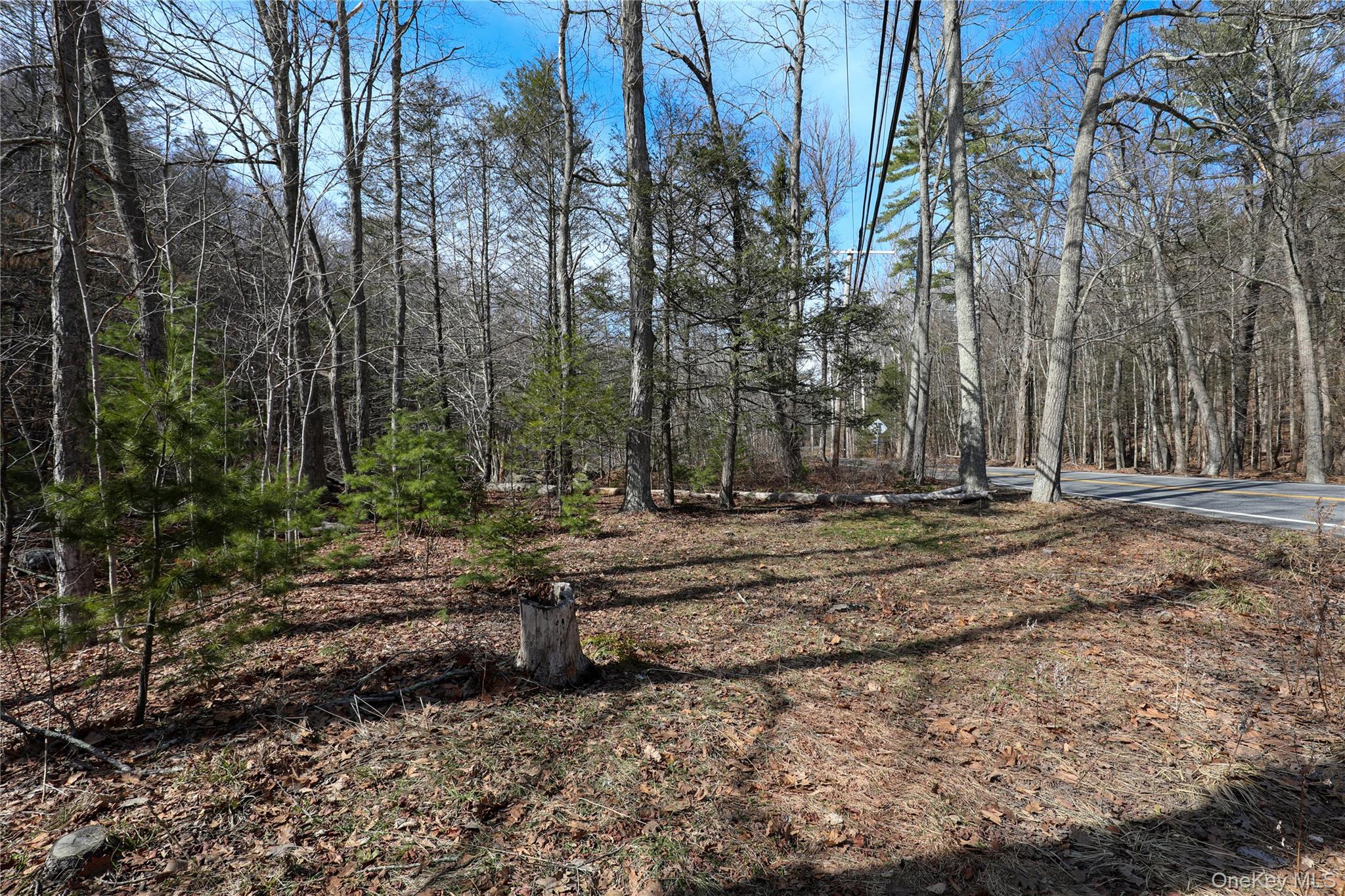 #7 photo, TBD Rt-212, Woodstock , NY 12498