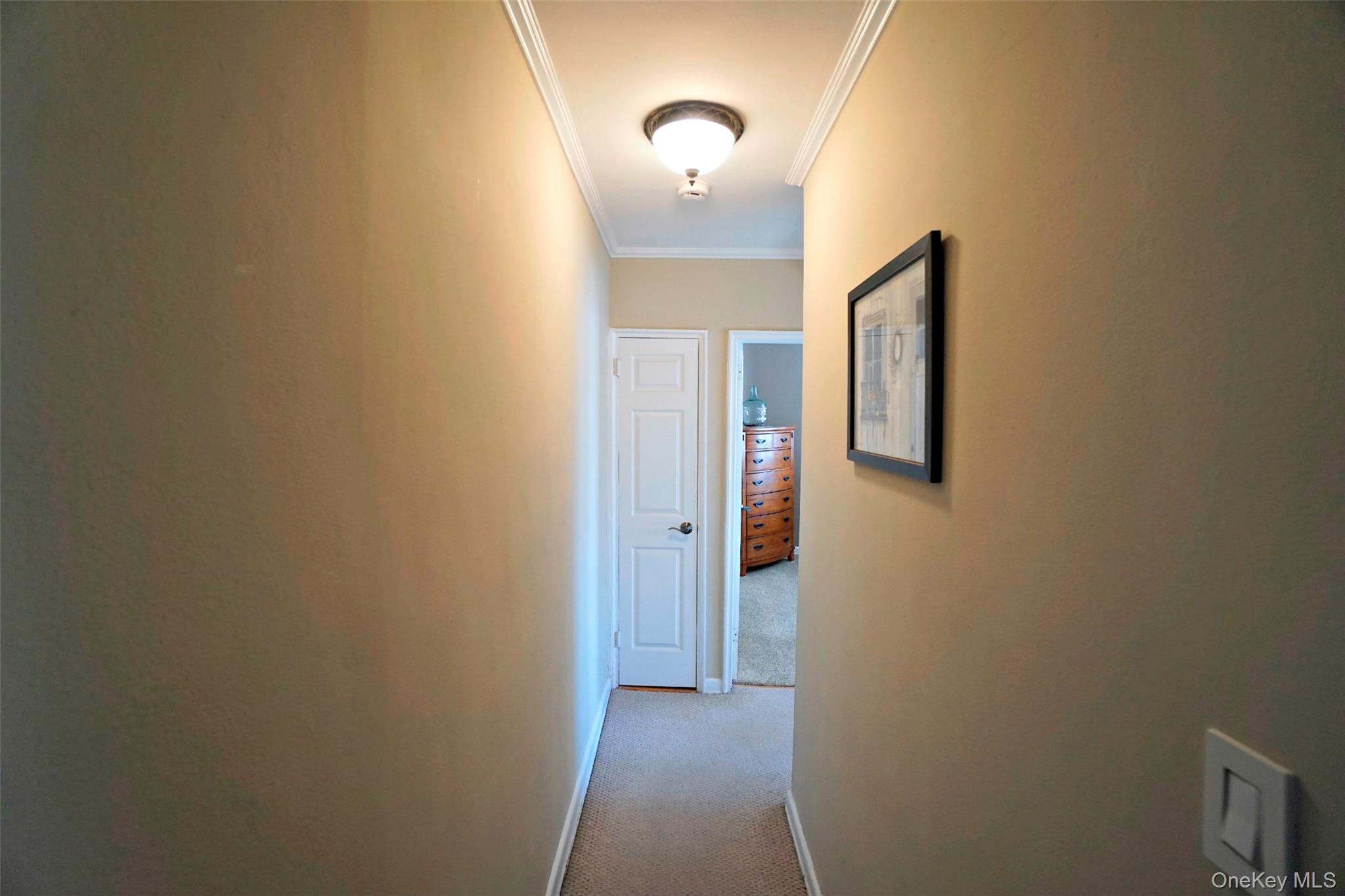 #5 photo, 66-92 Selfridge Street, কুইন্‌স Forest Hills , NY 11375