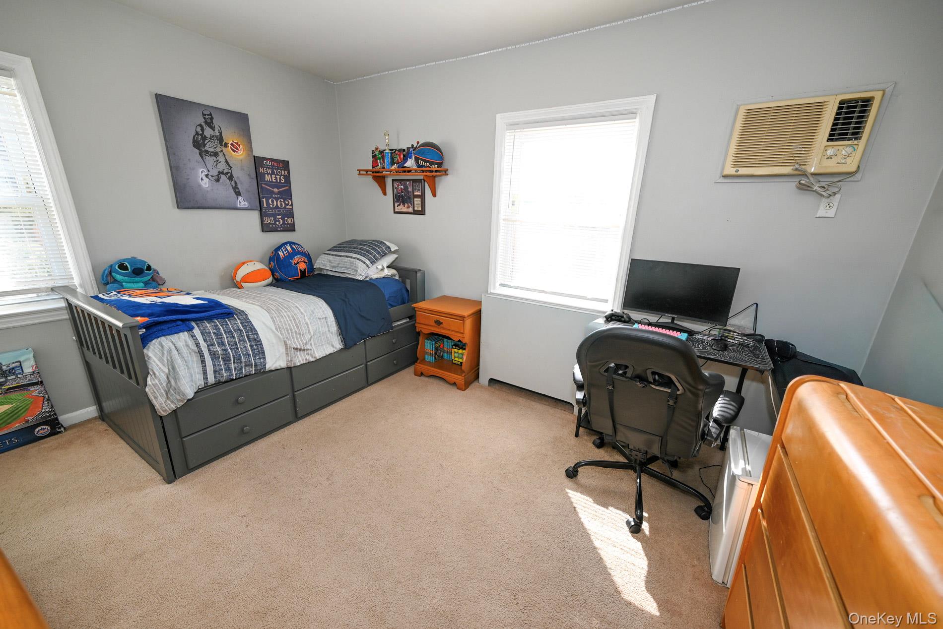 #11 photo, 380 Doris Avenue, 롱 아일랜드 Franklin Square , NY 11010