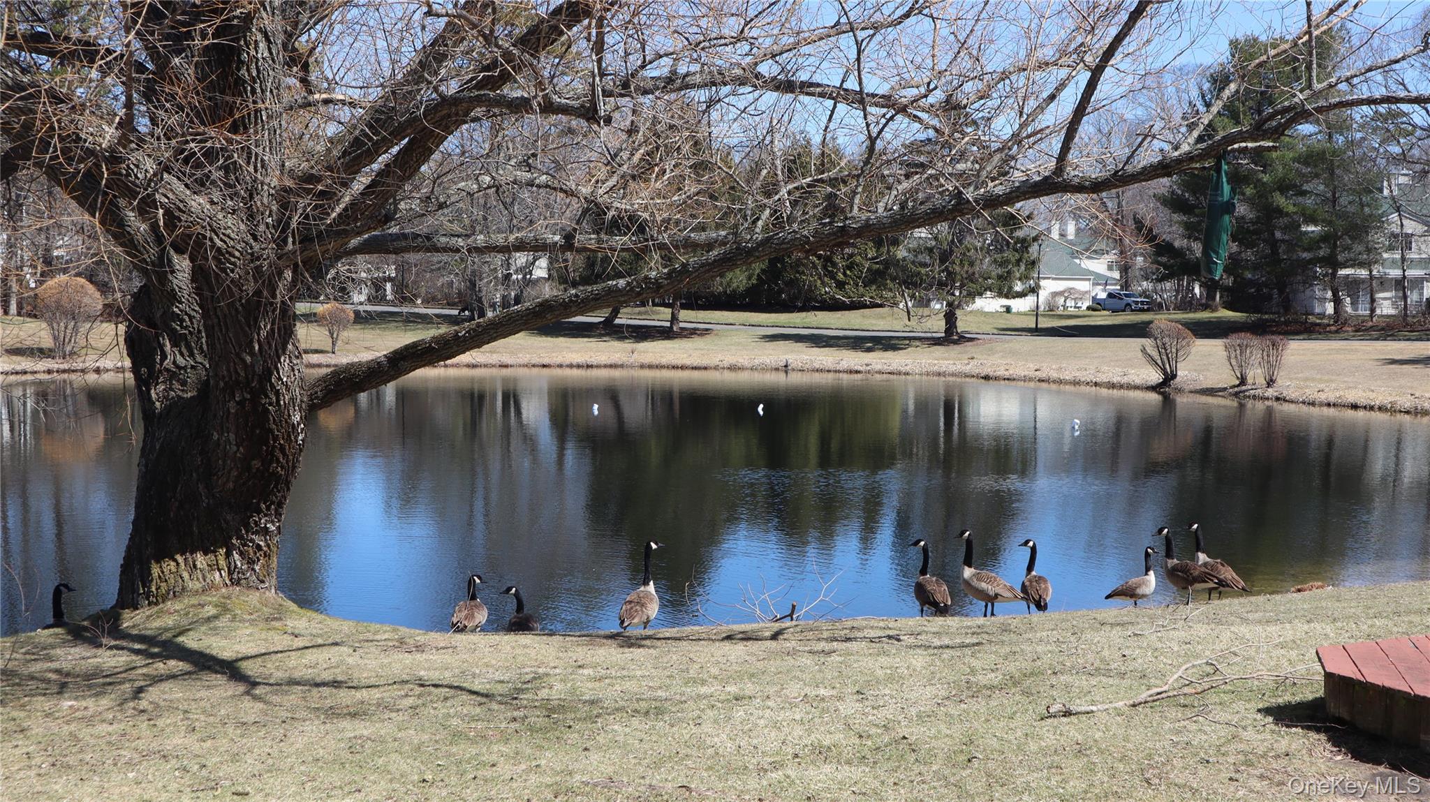 #6 photo, 202 Gothic Circle, Manorville , NY 11949