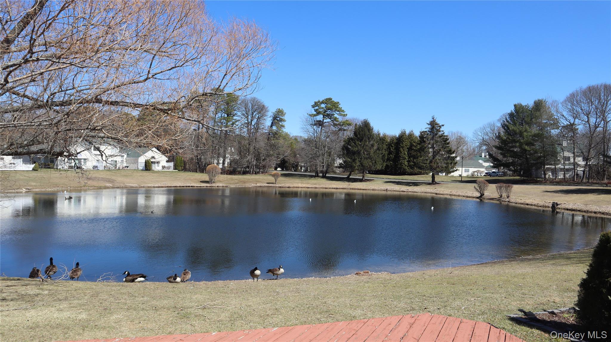 #8 photo, 202 Gothic Circle, Manorville , NY 11949