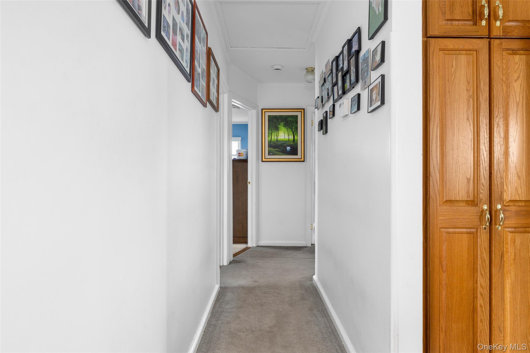 #14 photo, 111 Morris Drive, নাসাউ কাউন্টি East Meadow , NY 11554