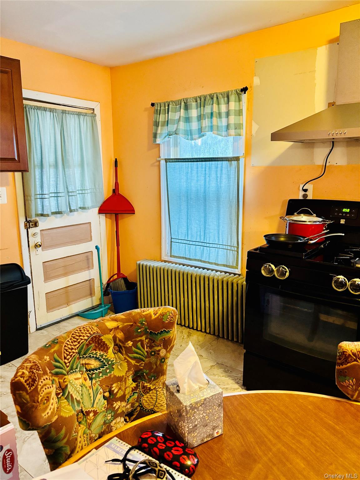 #17 photo, 113 Old Bay Street, Peekskill , NY 10566