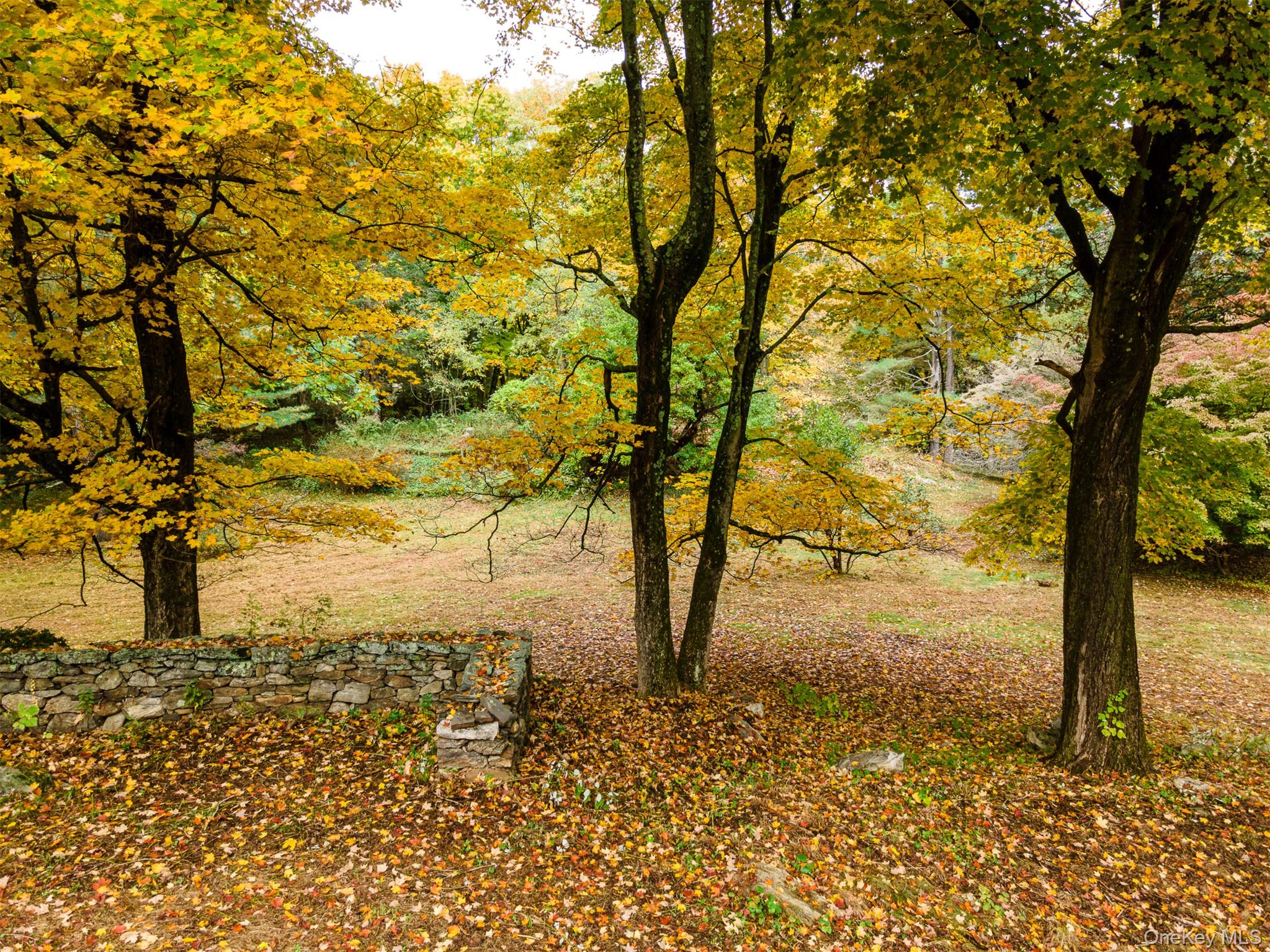 #10 photo, 115 Old Roaring Brook Road, Mount Kisco , NY 10549