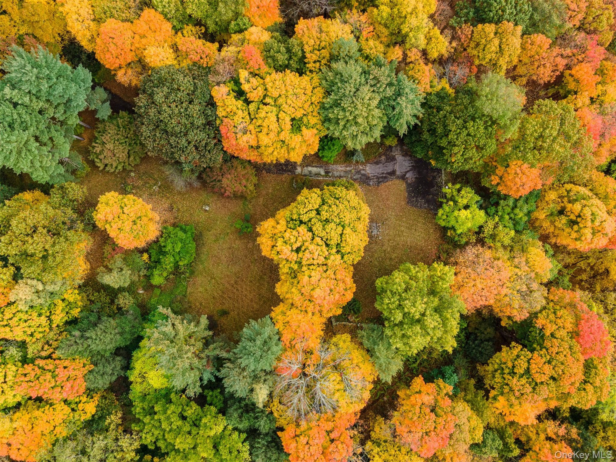 #11 photo, 115 Old Roaring Brook Road, Mount Kisco , NY 10549