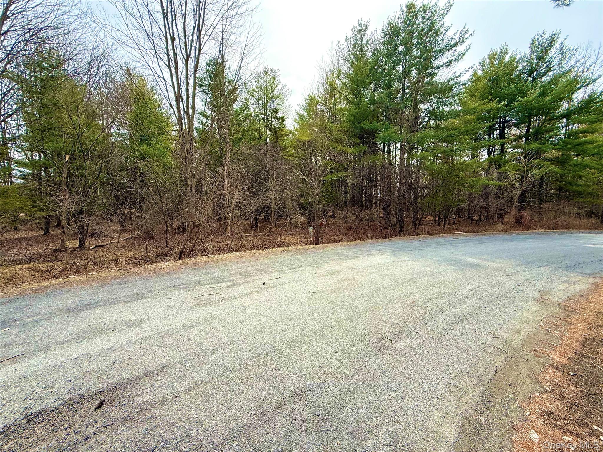 #12 photo, 34 Ichabod Crane Circle, Coxsackie , NY 12051