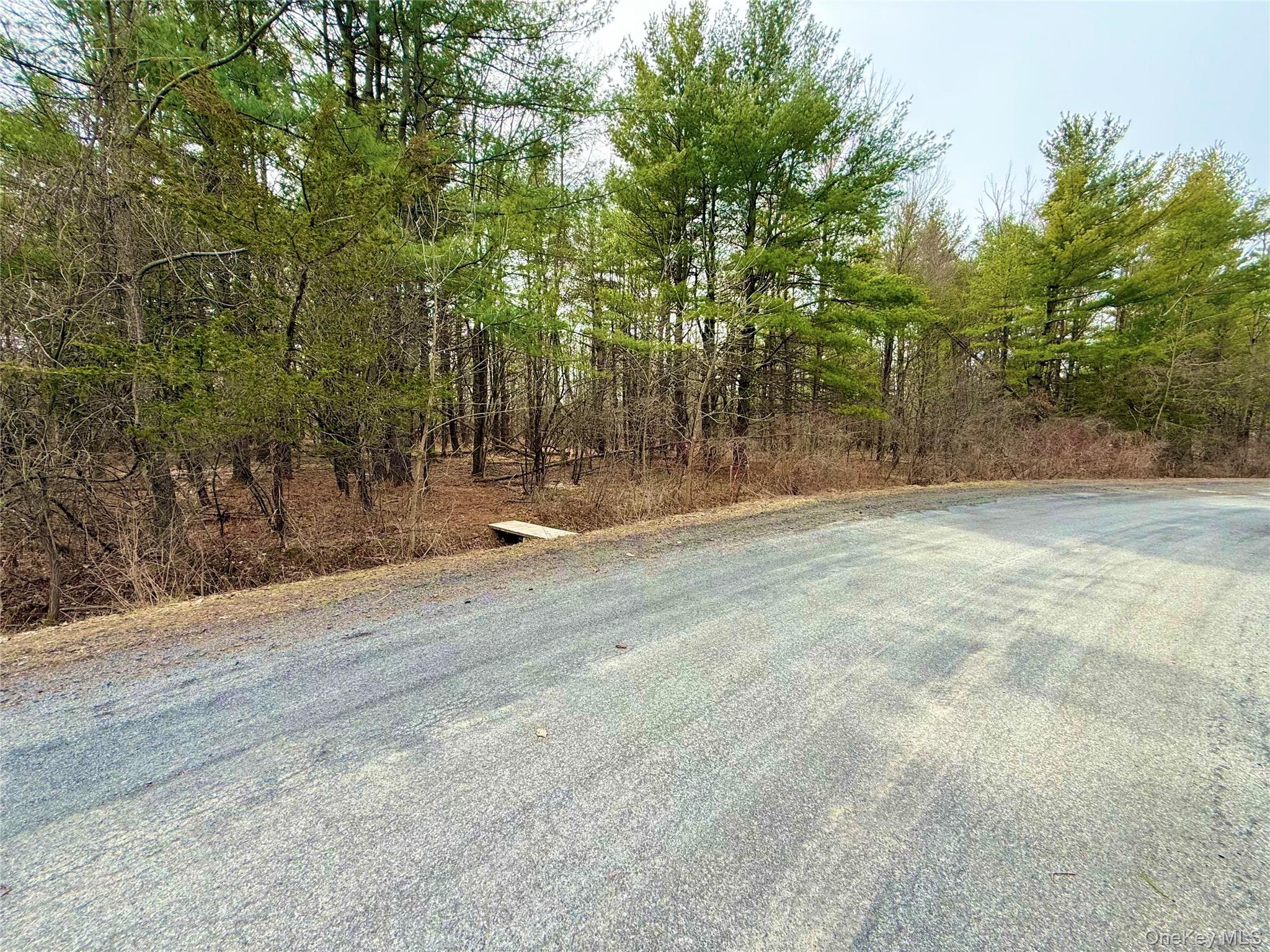 #13 photo, 34 Ichabod Crane Circle, Coxsackie , NY 12051